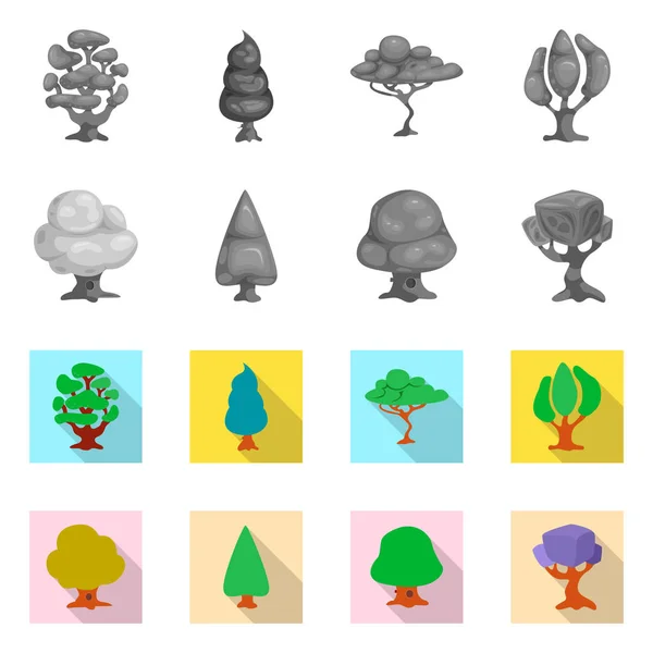 Изолированный объект с изображением дерева и природы. Набор векторных иллюстраций дерева и короны . — стоковый вектор