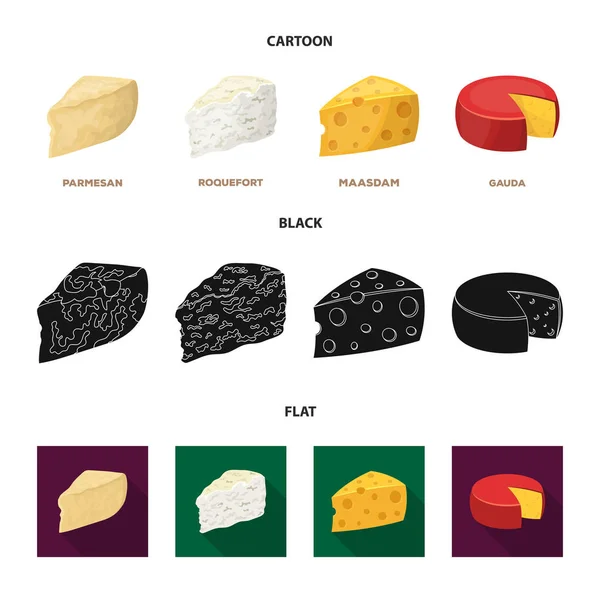 Parmesano, roquefort, maasdam, gauda.Different tipos de queso conjunto colección iconos en dibujos animados, negro, plano estilo vector símbolo stock ilustración web . — Vector de stock