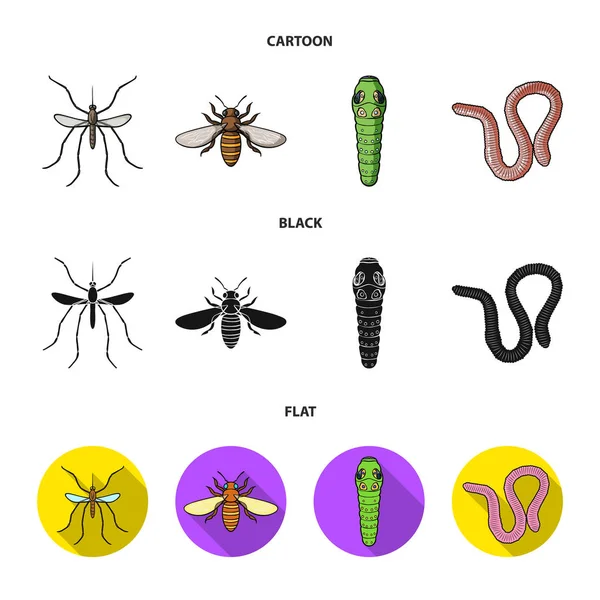 Worm, centipede, wasp, bee, hornet .Insects set collection icons in cartoon,black,flat style vector symbol stock illustration web. — Stock Vector