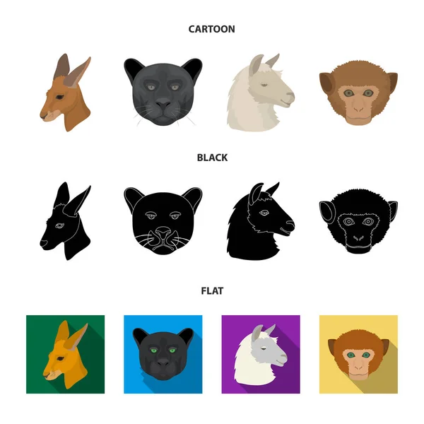 Kängurus, Lamas, Affen, Panther, realistische Tiere setzen Sammlungssymbole in Cartoon, schwarz, flachen Stil Vektor Symbol Stock Illustration Web. — Stockvektor