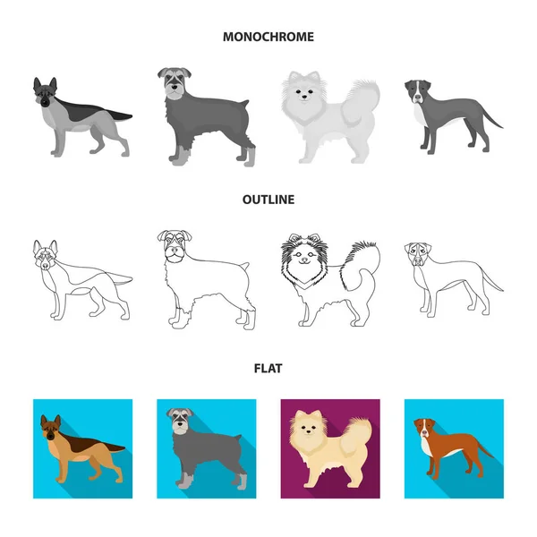 Dog φυλών επίπεδης, περίγραμμα, μονόχρωμη εικονίδια στη συλλογή σετ για σχεδιασμό. Σκύλος συντροφιάς διάνυσμα σύμβολο μετοχών web εικονογράφηση. — Διανυσματικό Αρχείο