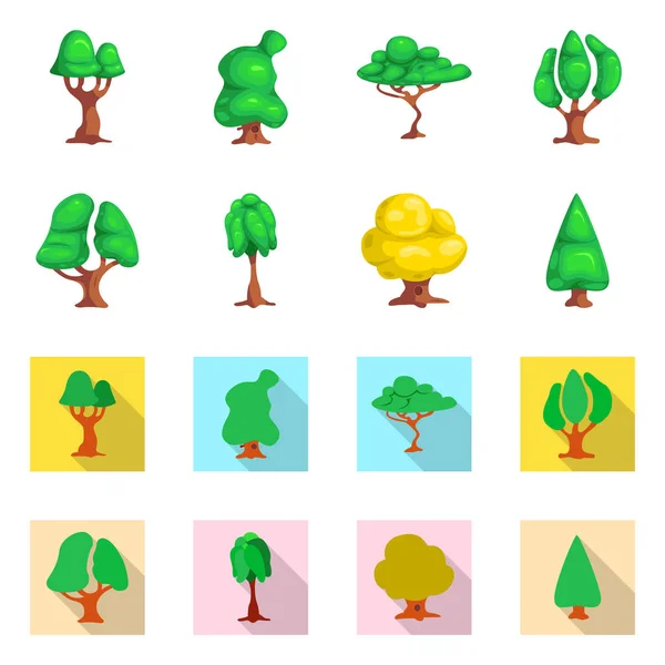 Isoliertes Objekt von Baum und Natursymbol. Set von Baum und Kronenstock Vektor Illustration. — Stockvektor