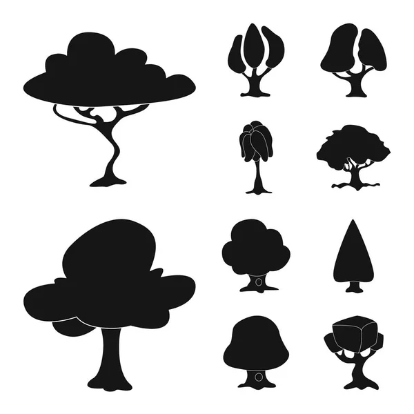 Vektordesign von Baum und Natursymbol. Set von Baum und Kronenstock Vektor Illustration. — Stockvektor