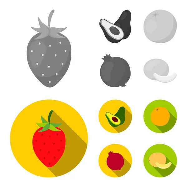 Fresa, bayas, aguacate, naranja, granada. Iconos de colección de conjuntos de frutas en monocromo, estilo plano símbolo vectorial stock illustration web . — Vector de stock