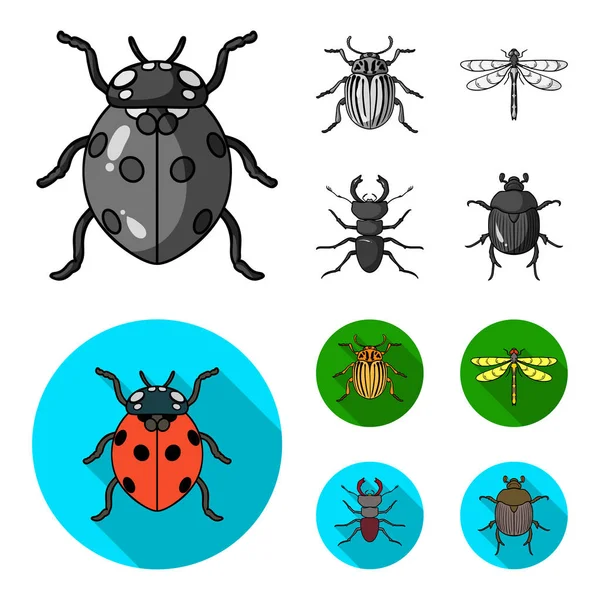 Insect, bug, beetle, paw .Insects set collection icons in monochrome,flat style vector symbol stock illustration web. — Stock Vector