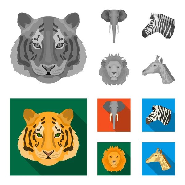 Tiger, Löwe, Elefant, Zebra, realistische Tiere setzen Sammlungssymbole in monochromen, flachen Stil Vektor Symbol Stock Illustration Web. — Stockvektor