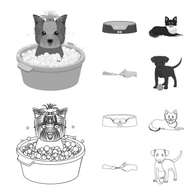 Tembel bir evcil hayvan, pençeleri Veteriner Kliniği, kırpma, köpek yalan, bir top ile köpek yavrusu için. Veteriner Kliniği ve evde beslenen hayvan, Köpek Bakımı anahat, tek renkli stil vektör simge stok çizim web simgeler ayarla.