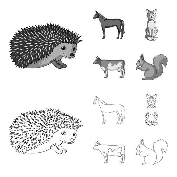 Pferd, Kuh, Katze, Eichhörnchen und andere Tierarten. Tiere setzen Sammlungssymbole in Umrissen, monochromen Stil Vektor-Symbol Stock Illustration Web. — Stockvektor