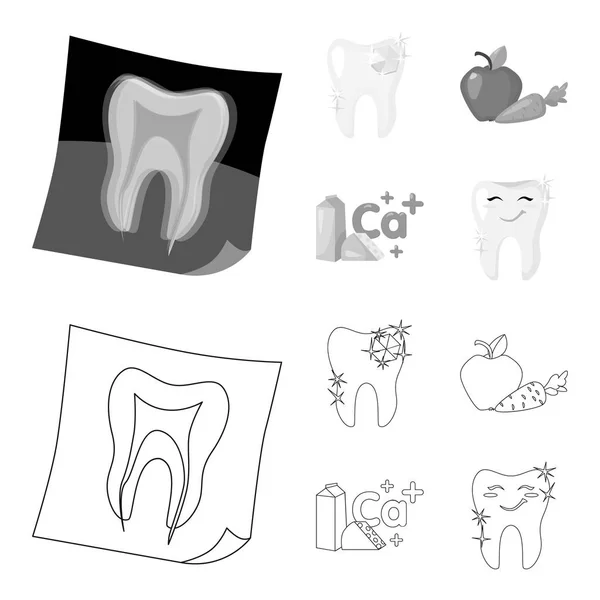 Un diente con brillo brillante, una manzana con zanahorias útiles para los dientes, leche en una caja, queso y un signo de calcio, un diente sonriente. cuidado dental conjunto colección iconos en el contorno, estilo monocromo — Vector de stock