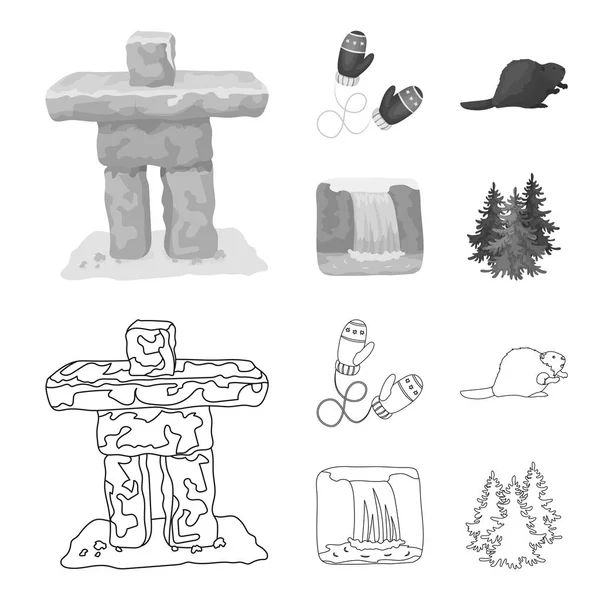 ビーバー面白いストックベクター ロイヤリティフリービーバー面白いイラスト Depositphotos