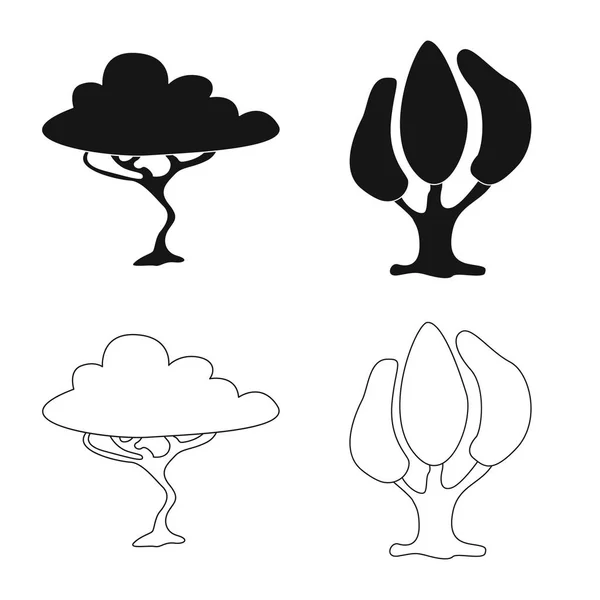 Vektordesign von Baum und Natur-Symbol. Set aus Baum- und Kronensymbol für das Netz. — Stockvektor