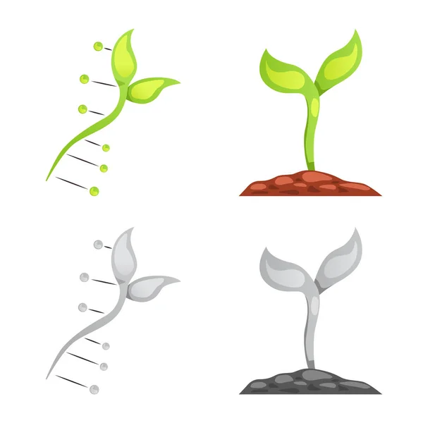 遺伝子のベクター デザインと植物のアイコン。遺伝のセットと web のバイオ銘柄. — ストックベクタ