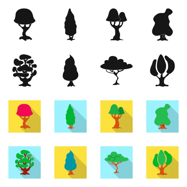 Isoliertes Objekt von Baum und Natursymbol. Set von Baum und Kronenstock Vektor Illustration. — Stockvektor