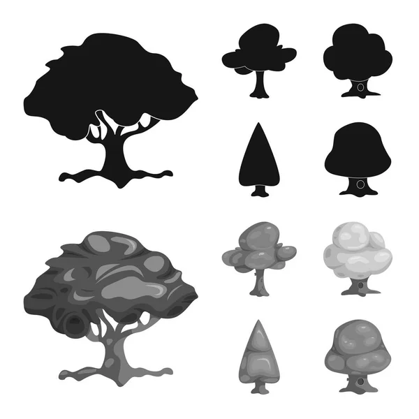 树与自然标志的矢量设计。网页的树和皇冠股票符号集. — 图库矢量图片