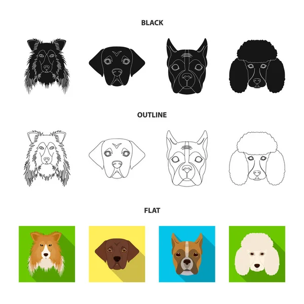 Bozal de diferentes razas de perros. Collie raza perro, lobladore, caniche, boxeador conjunto colección iconos en el estilo de dibujos animados vector símbolo stock ilustración web . — Vector de stock