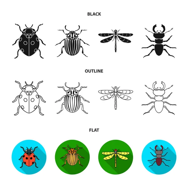 Insect, bug, beetle, paw .Insects set collection icons in cartoon style vector symbol stock illustration web. — Stock Vector