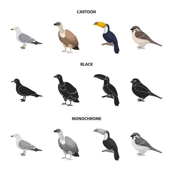 Gaviota, tucán y otras especies. Pájaros conjunto colección iconos en dibujos animados, negro, monocromo estilo vector símbolo stock ilustración web . — Archivo Imágenes Vectoriales