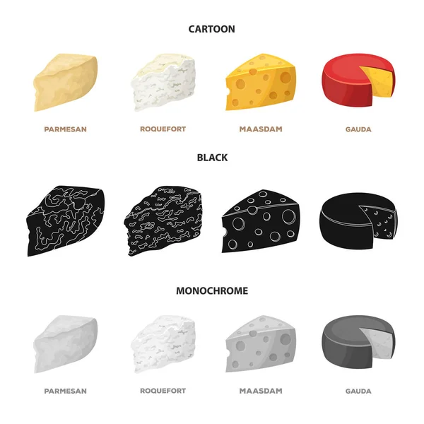 Parmesano, roquefort, maasdam, gauda.Different tipos de queso conjunto colección iconos en dibujos animados, negro, estilo monocromo vector símbolo stock ilustración web . — Vector de stock