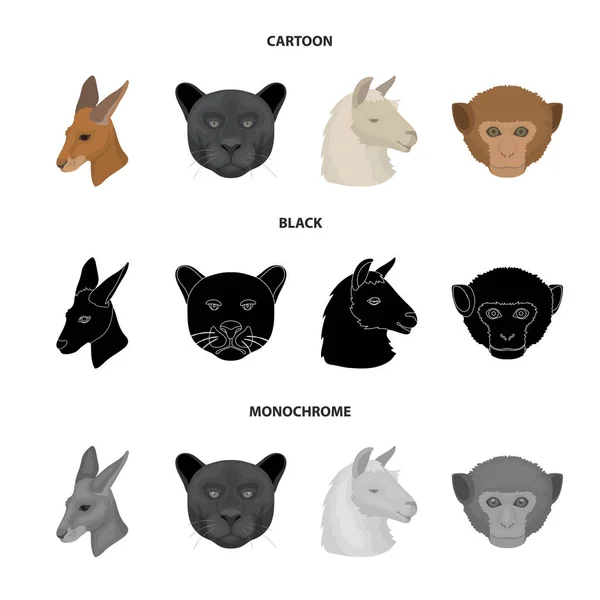 Kängurus, Lamas, Affen, Panther, realistische Tiere setzen Sammlungssymbole in Cartoon, schwarz, monochromen Stil Vektor-Symbol Stock Illustration Web. — Stockvektor