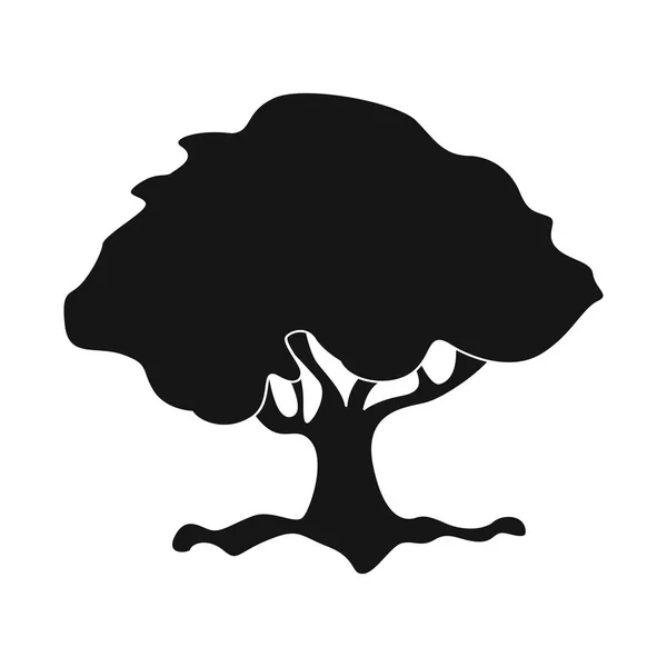 Isolerade objekt av träd och naturen tecken. Samling av träd och krona vektor ikonen för lager. — Stock vektor