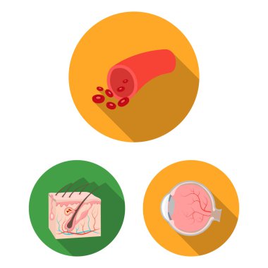 Tasarımı için iç organları bir insan düz simgelerin ayarlamak koleksiyonu. Anatomi ve tıp vektör simge stok web çizim.