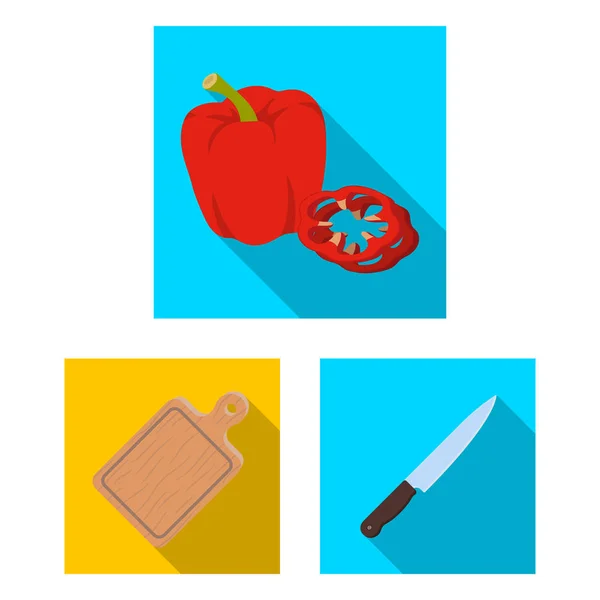 Barbacoa y equipamiento iconos planos en set colección para diseño. Picnic y comida frita vector símbolo stock web ilustración . — Vector de stock