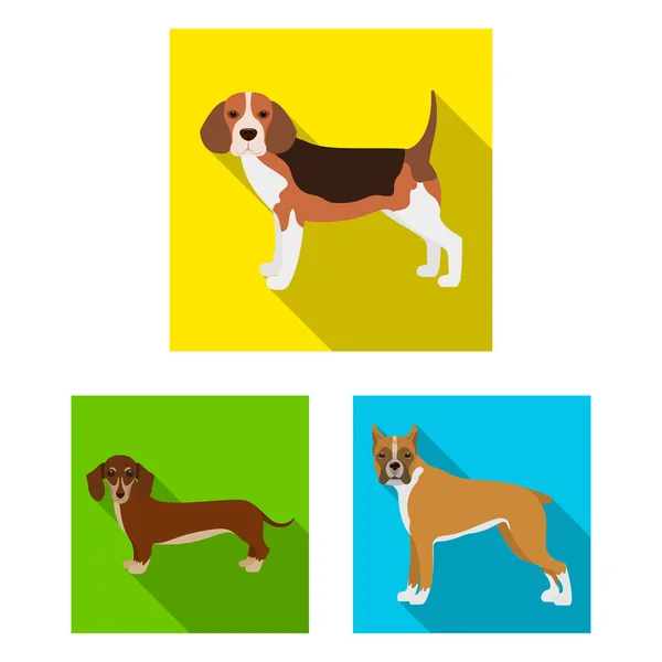 Perro razas de iconos planos en la colección de conjuntos para design.Dog mascota vector símbolo stock web ilustración . — Vector de stock