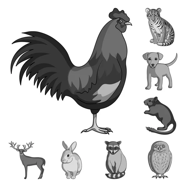 Animali realistici icone monocromatiche nella collezione set per il design. Animali selvatici e domestici vettoriale simbolo stock web illustrazione . — Vettoriale Stock