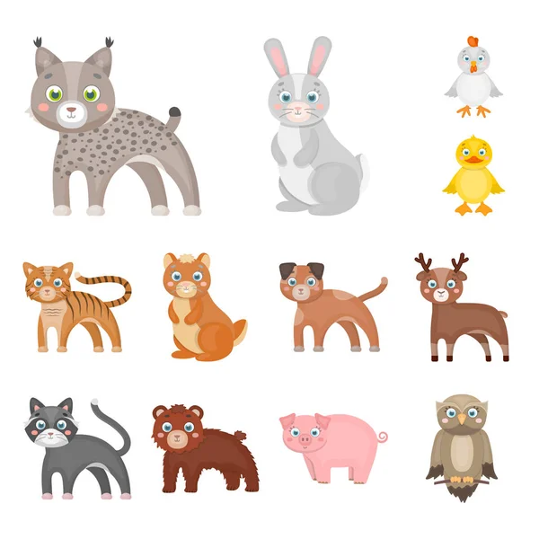 Ícones de desenhos animados de animais de brinquedo na coleção de conjuntos para design. ilustração da teia do estoque do símbolo do vetor do pássaro, do predador e do herbívoro . —  Vetores de Stock