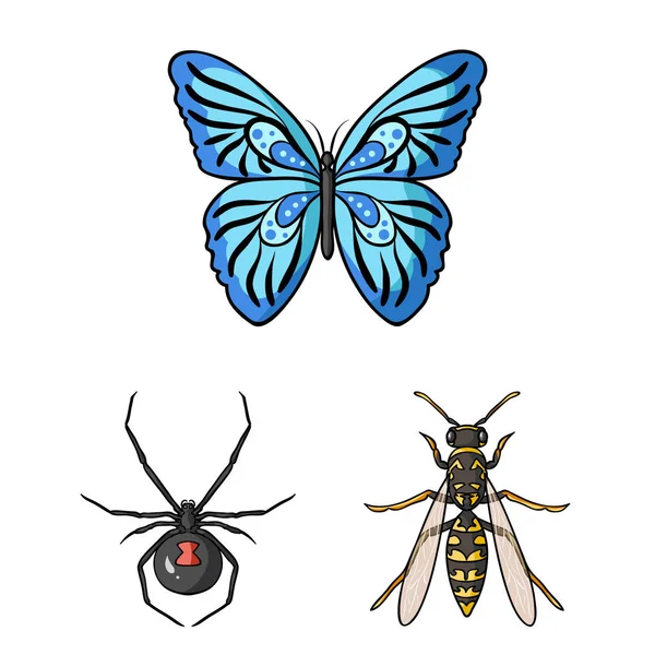 Différents types d'icônes de dessin animé insectes dans la collection de jeu pour la conception. Insecte arthropode vecteur symbole stock web illustration . — Image vectorielle