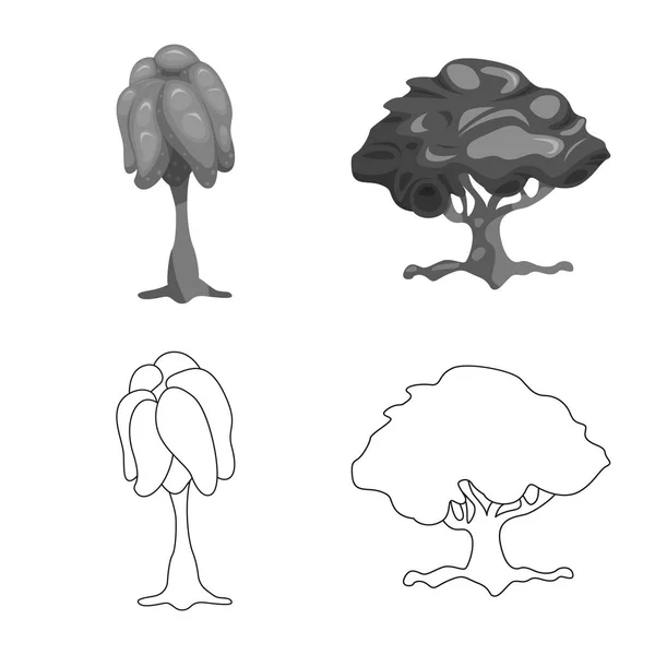 Objeto isolado de árvore e ícone da natureza. Coleção de árvore e coroa ilustração vetor estoque . — Vetor de Stock