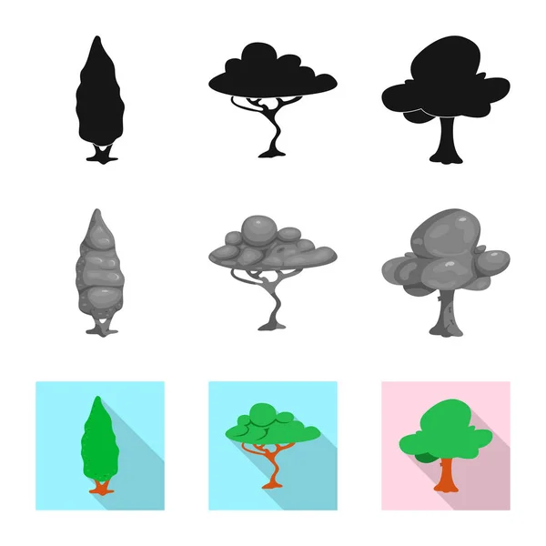 Projeto vetorial de árvore e ícone da natureza. Conjunto de árvore e coroa símbolo de estoque para web . — Vetor de Stock