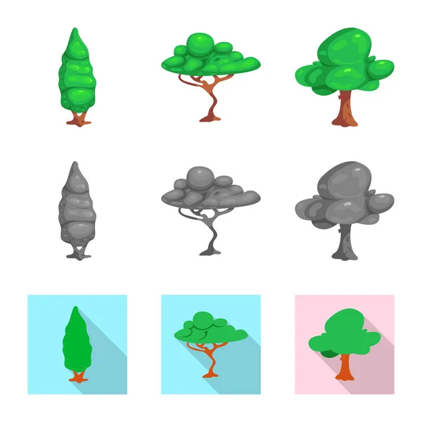 Isolerade objekt av träd och naturen symbol. Uppsättning av träd och krona vektor ikonen för lager. — Stock vektor