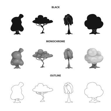 Ağaç ve doğa simgesi yalıtılmış nesne. Web için ağaç ve taç hisse senedi simgesi kümesi.