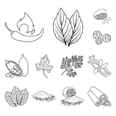 Ot ve baharat set koleksiyonu tasarım için simgeleri anahat. Baharat çeşitleri simge stok web illüstrasyon vektör.