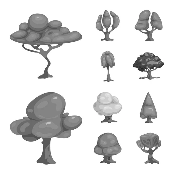 Objet isolé d'arbre et symbole de la nature. Collection d'illustrations vectorielles d'arbres et de cimes . — Image vectorielle