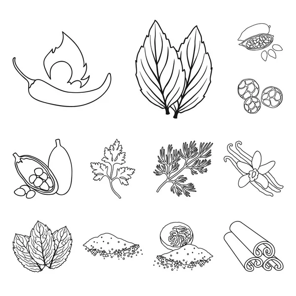 Erbe e spezie delineano icone nella collezione set per il design.Different tipi di condimenti vettoriale simbolo stock web illustrazione . — Vettoriale Stock