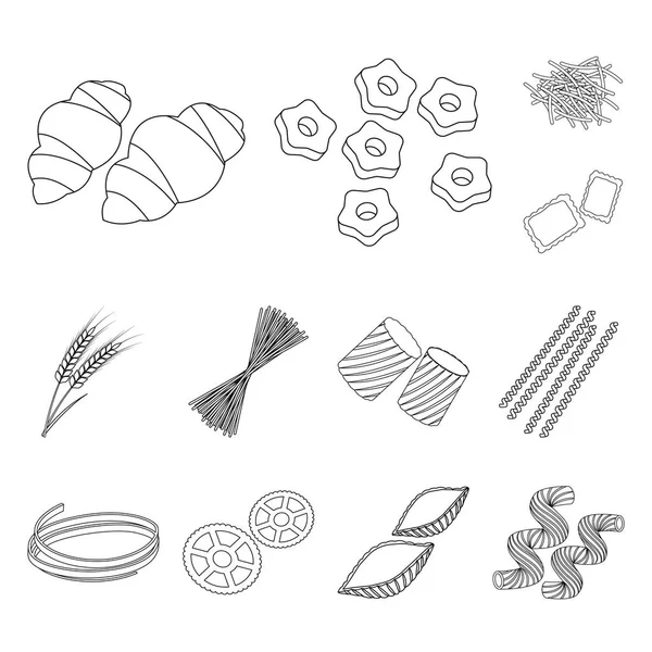Typer av pasta disposition ikoner i set samling för design. Tänkte makaroner för att äta vektor symbol lager web illustration. — Stock vektor