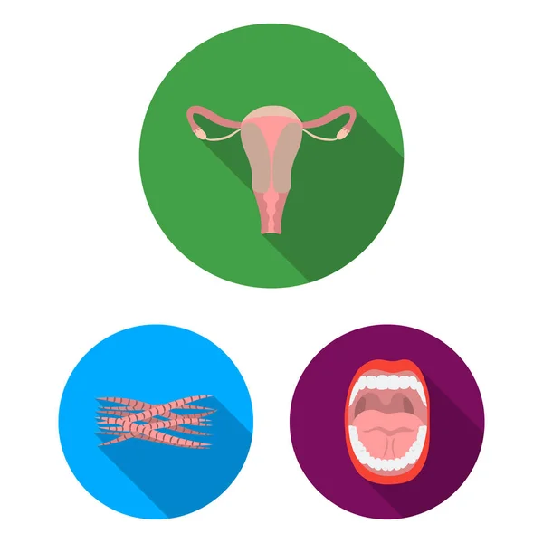Inre organ av en mänsklig platt ikoner i set samling för design. Anatomi och medicin vektor symbol lager web illustration. — Stock vektor