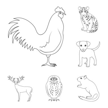 Gerçekçi hayvanları kutsal kişilerin resmi içinde set koleksiyonu tasarım için anahat. Yerli ve vahşi hayvanlar sembol stok web illüstrasyon vektör.