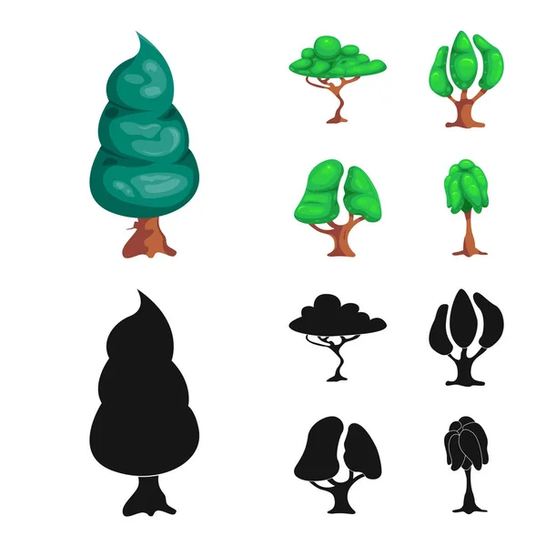 Vektorillustration von Baum und Natur-Symbol. Sammlung von Baum- und Kronenvektorsymbolen für Aktien. — Stockvektor