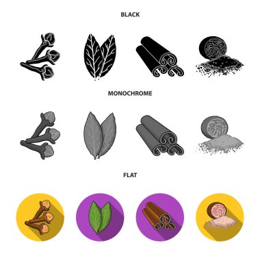 Karanfil, defne yaprağı, küçük Hindistan cevizi, tarçın. Otlar ve baharatlar toplama simgeler siyah, düz, tek renkli stil vektör simge stok çizim web ayarla.