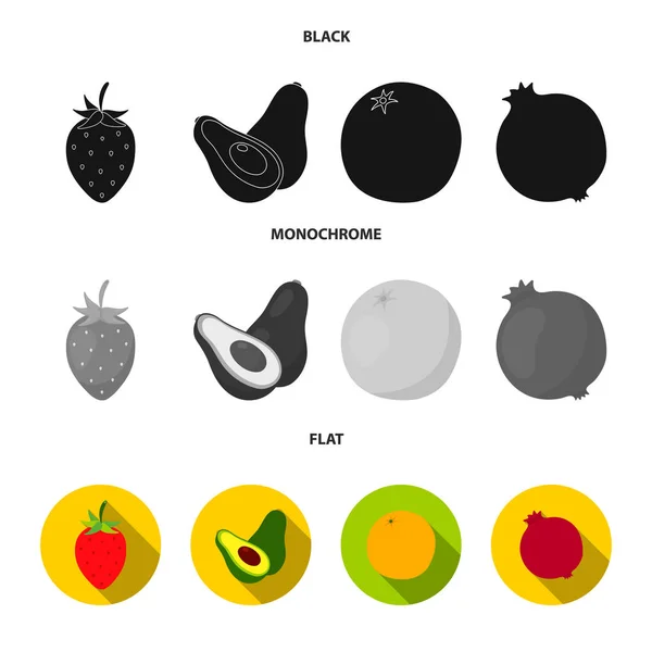 Strawberry, berry, avocado, orange, pomegranate.Fruits set collection icons in black, flat, monochrome style vector symbol stock illustration web. — Stock Vector