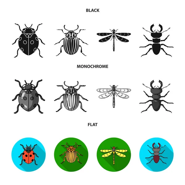 Insect, bug, beetle, paw .Insects set collection icons in black, flat, monochrome style vector symbol stock illustration web. — Stock Vector