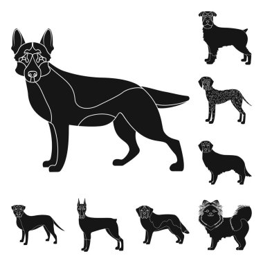 Köpek ırkları set koleksiyonu tasarım için simgeler siyah. Köpek evde beslenen hayvan vektör simge stok web çizim.