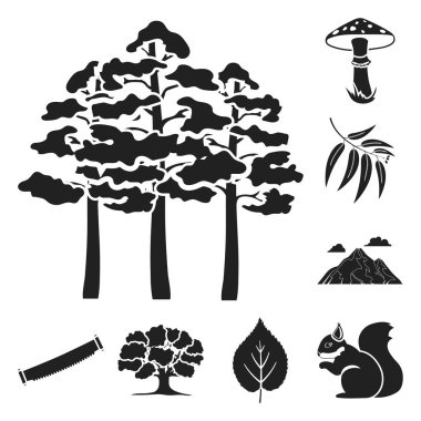 Set koleksiyonu tasarım için simgeler siyah orman ve doğa. Orman hayat vektör simge stok çizim.