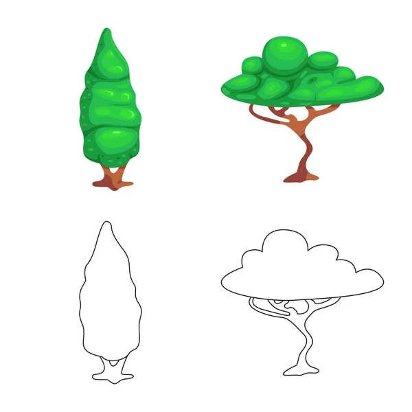 Obiectul izolat al copacului și al semnului naturii. Colecție de pictogramă vector copac și coroană pentru stoc . — Vector de stoc