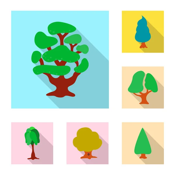 Objeto aislado del icono del árbol y la naturaleza. Colección de árbol y corona stock vector ilustración . — Vector de stock
