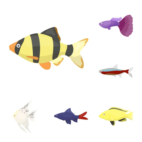 Diferentes tipos de iconos de dibujos animados de peces en la colección de conjuntos para el diseño. Marino y acuario peces vector símbolo stock web ilustración . — Vector de stock