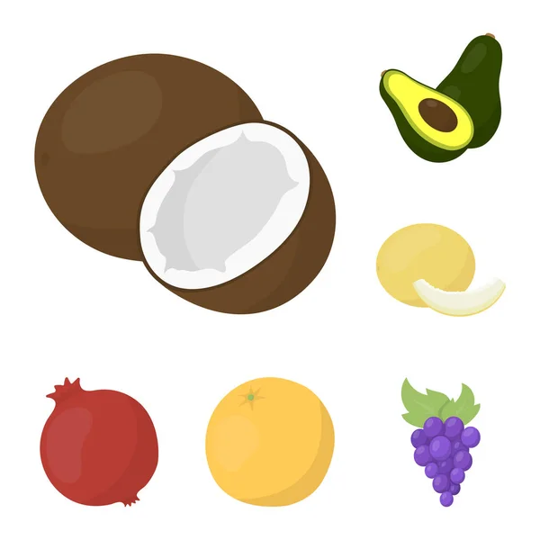 Diversi frutti icone dei cartoni animati in collezione set per il design. Frutta e vitamine vettore simbolo stock web illustrazione . — Vettoriale Stock